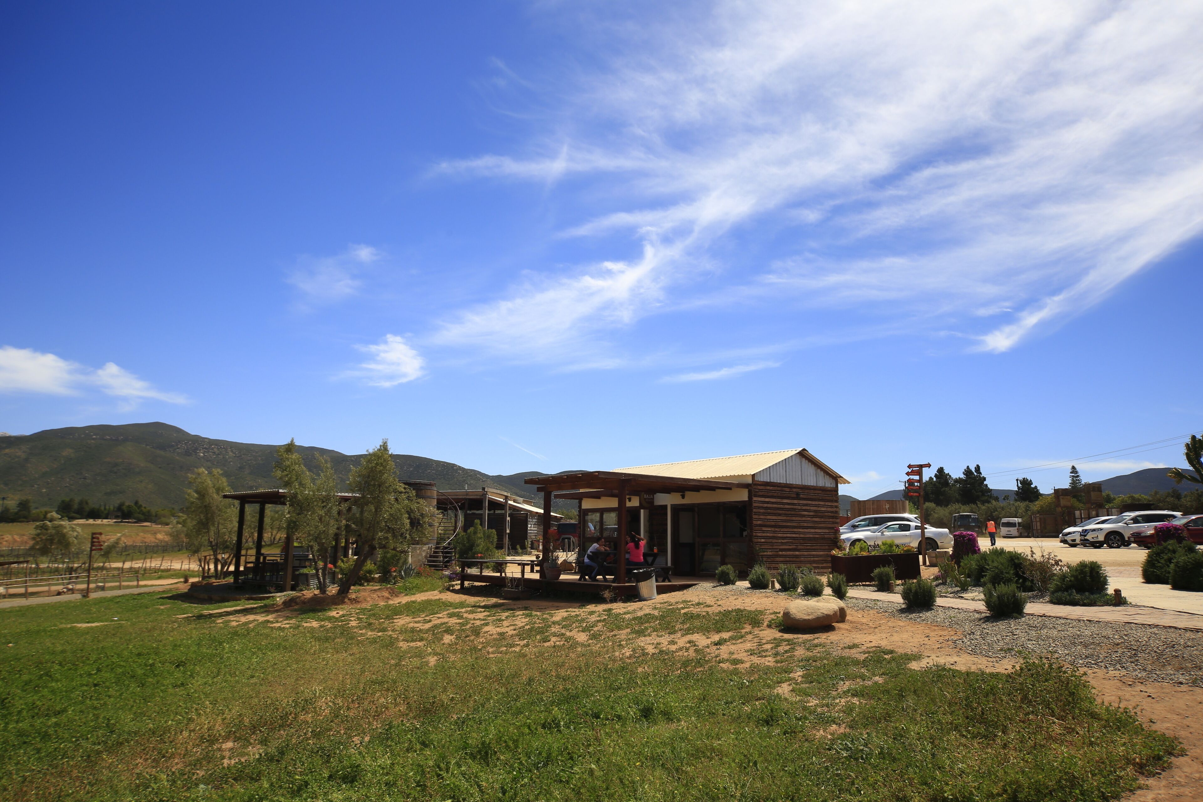 Valle de Guadalupe