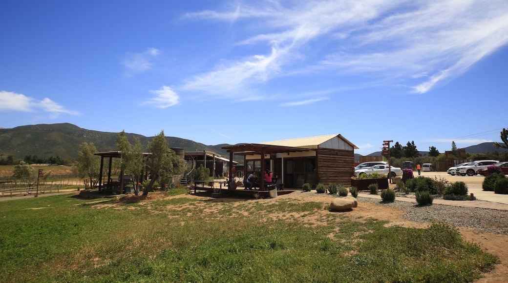 Valle de Guadalupe