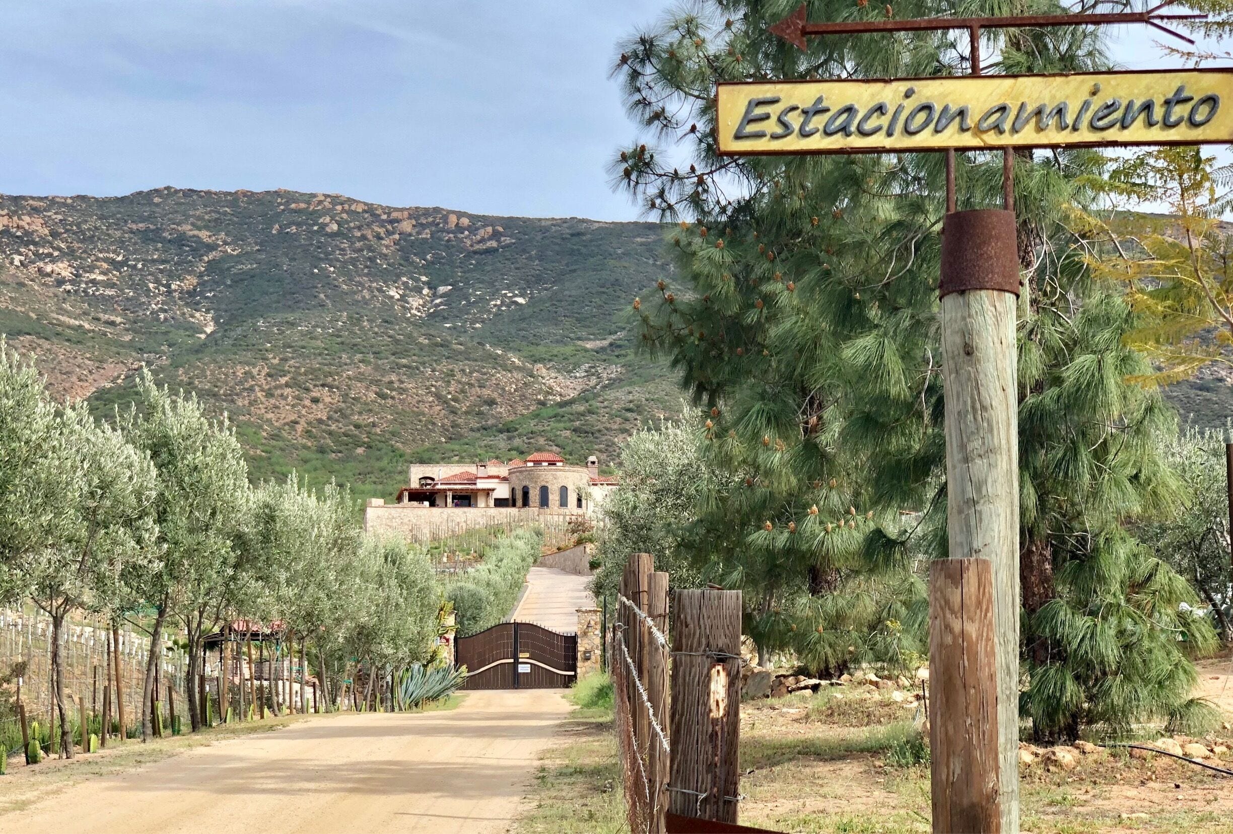 Fine dined at this quaint winery hidden under the trees. Five course meal accompanied by fresh air and delicious Cabernet!