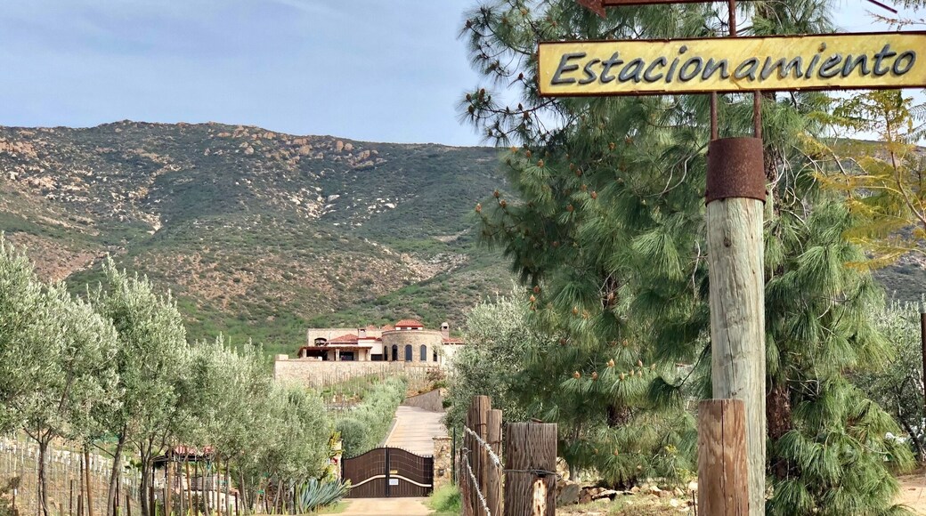 Fine dined at this quaint winery hidden under the trees. Five course meal accompanied by fresh air and delicious Cabernet!