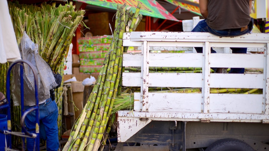 Hidalgo Market which includes markets
