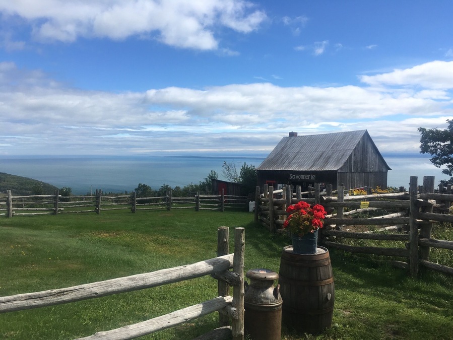 This farm in Quebec produces unique cosmetic products made with donkey female milk. #green #lifeatexpedia #quebec
