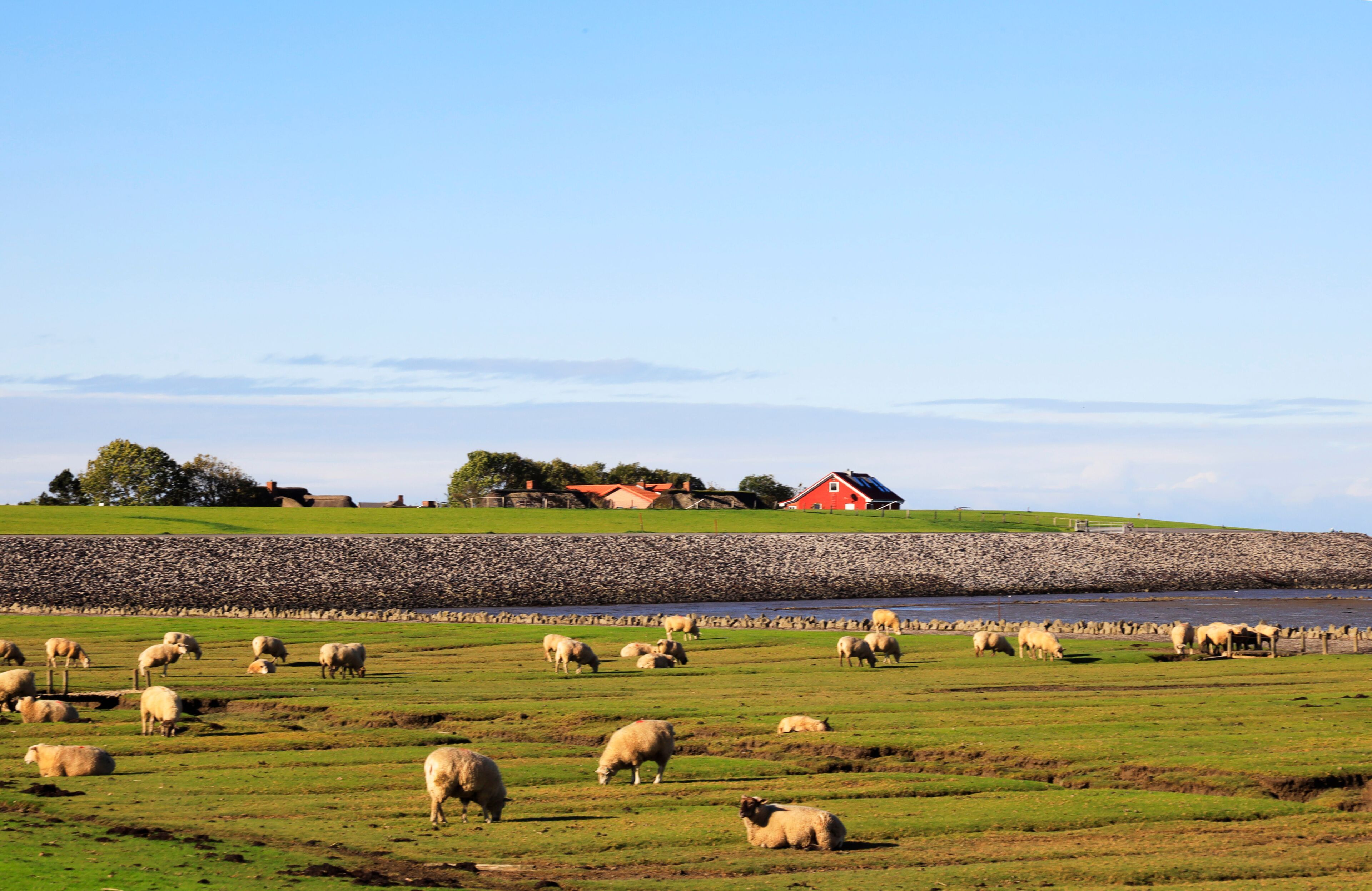 The Peninsula Nordstrand in Germany, Europe