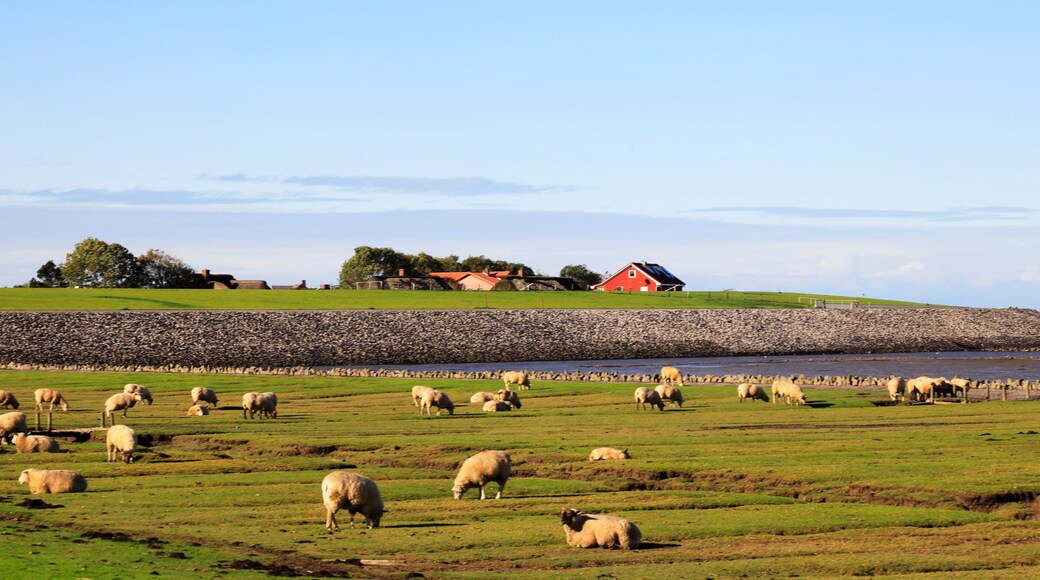 The Peninsula Nordstrand in Germany, Europe