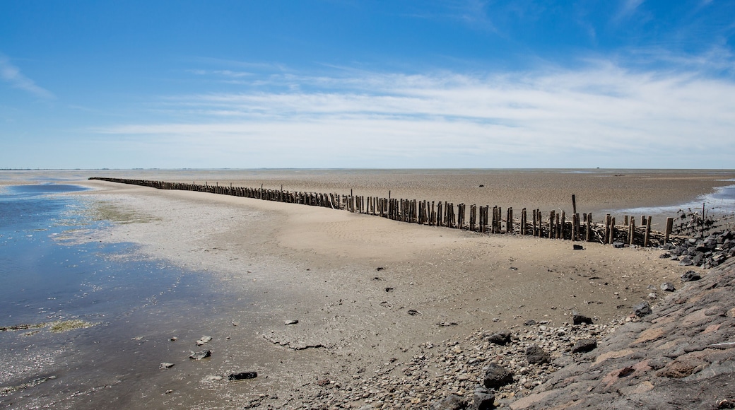 North Sea at low tide. Germany Nordstrand