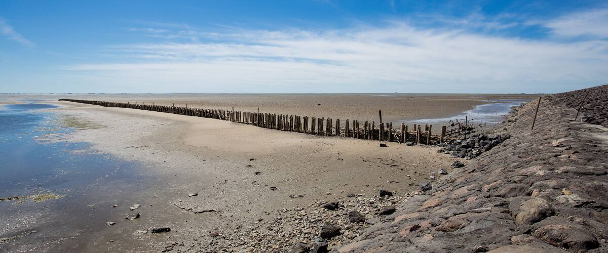 A beach with a wooden breakwater extending into the water, rocky shoreline, and a clear sky.