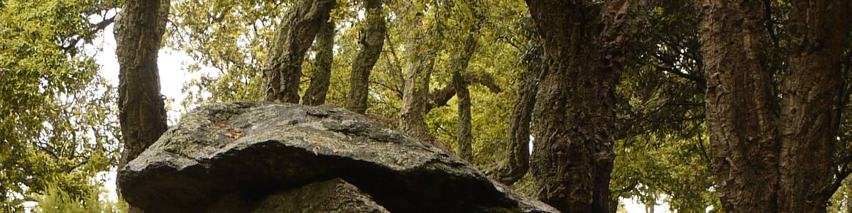 Dolmen de la Siureda à Maureillas.