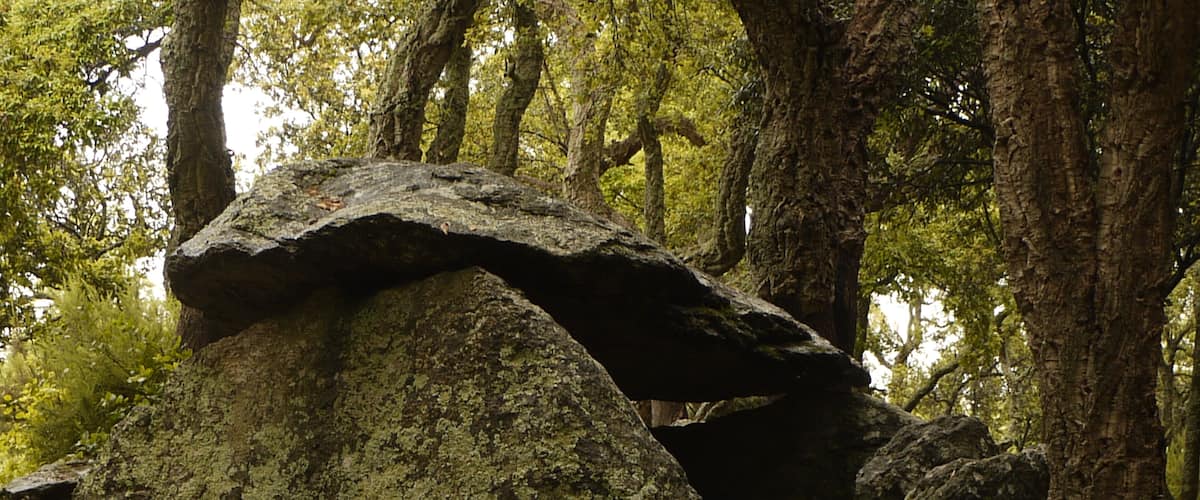 Dolmen de la Siureda à Maureillas.