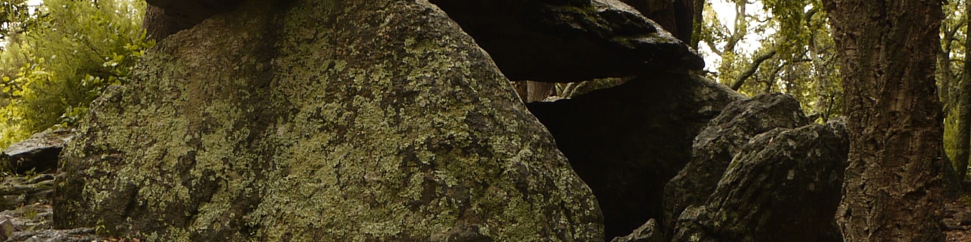 Dolmen de la Siureda à Maureillas.