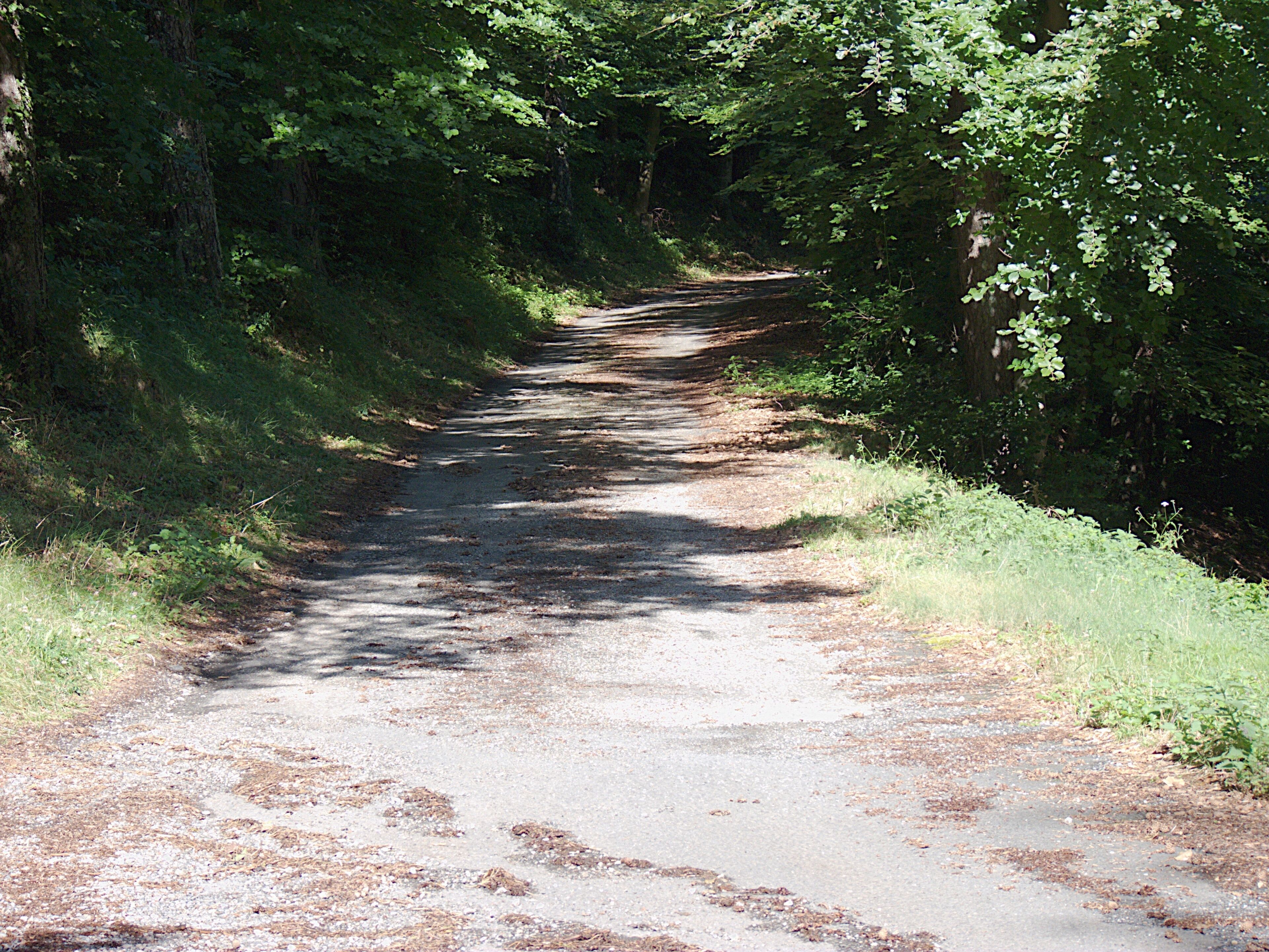 Route en direction du sommet de la montagne, Col de Fontfrède, Céret (Pyrénées-Orientales, Languedoc-Roussillon, France)
