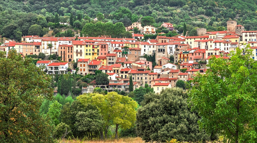 A hillside village with colorful buildings and dense greenery.