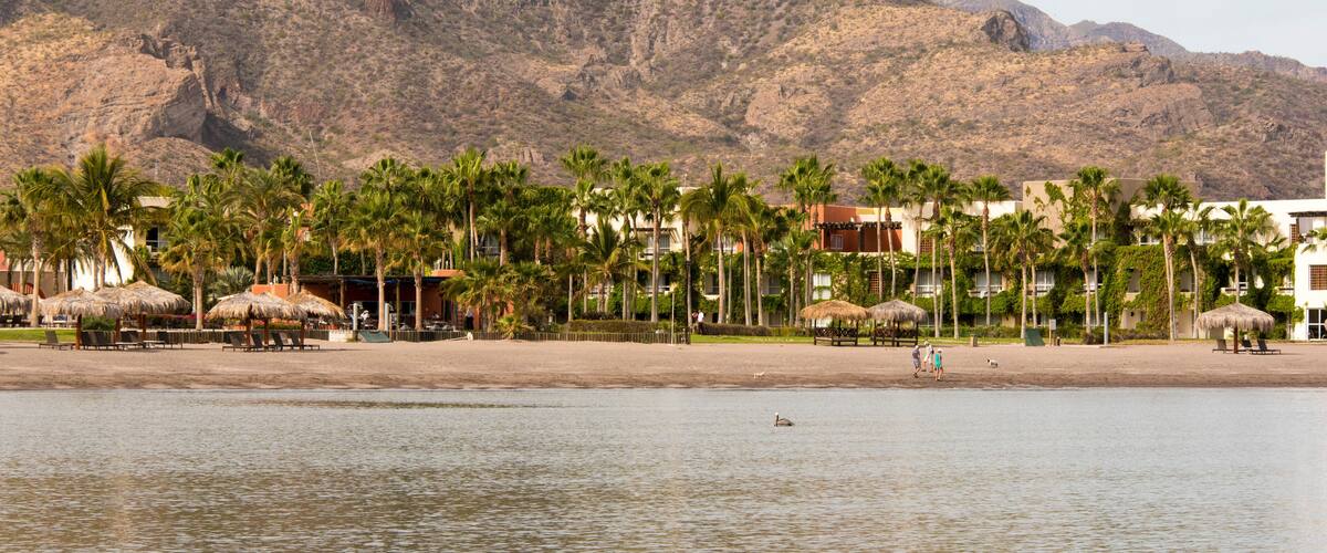 A beach with palm trees, a mountain in the background, and a few people walking.
