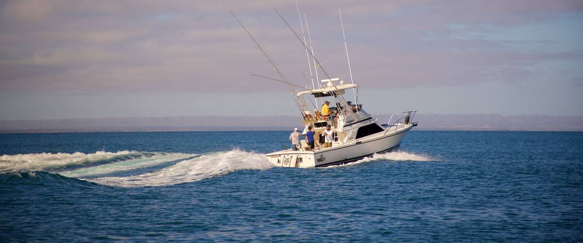 Isla Espiritu Santo featuring boating as well as a small group of people