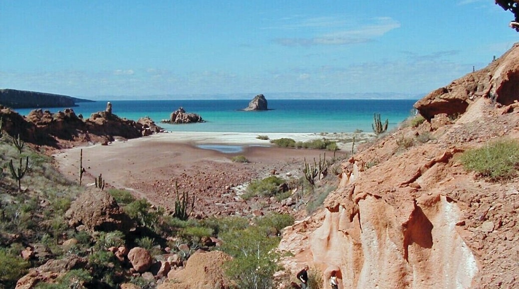 The desert meets the sea in Baja, Mexico. Isla Espriritu Santo is in the Sea of Cortez, near the city of La Paz. The island is a great place to set up a base camp for kayaking, whale watching, hiking, etc.