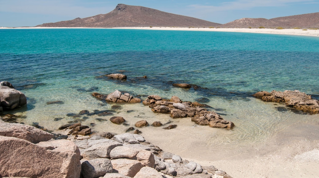 Isla espiritu santo sea of cortes, la paz baja california sur. MEXICO