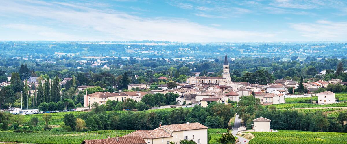A town with a prominent church tower, vineyards, and surrounding greenery.