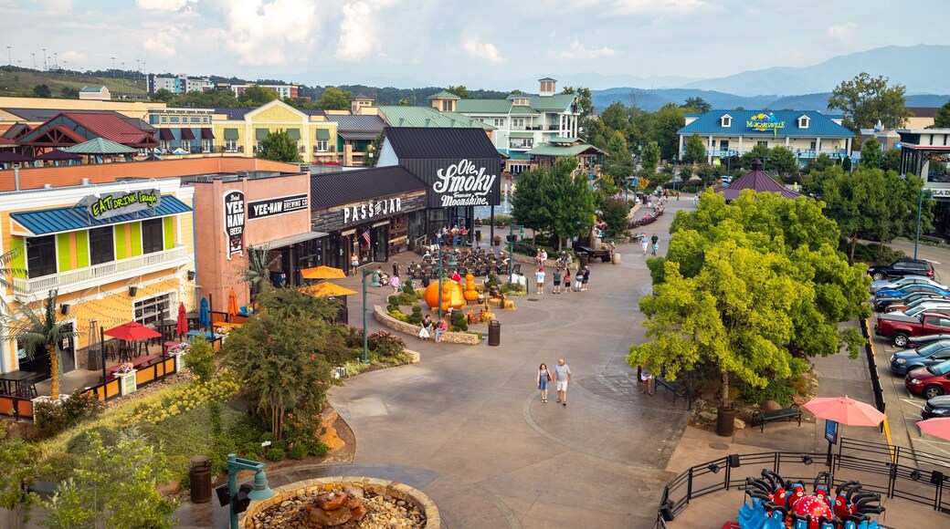 Great Smoky Mountain Wheel
