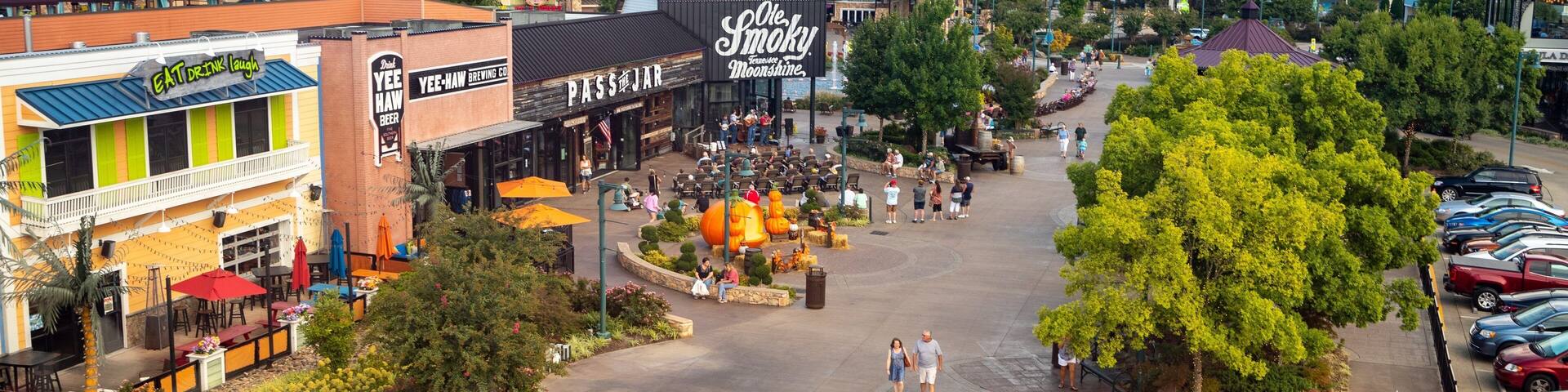 Great Smoky Mountain Wheel