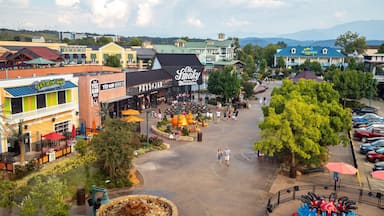 Great Smoky Mountain Wheel