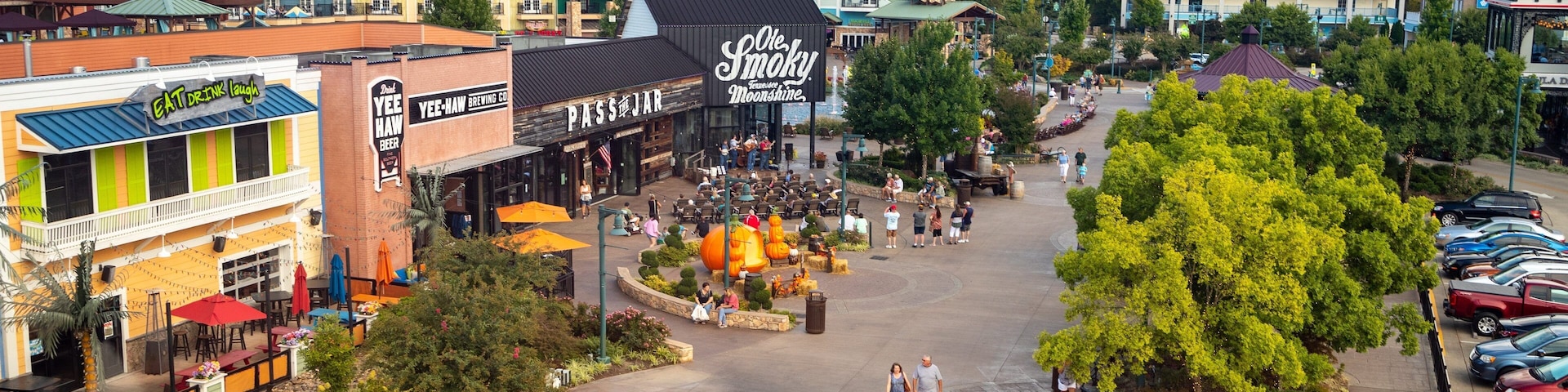 Great Smoky Mountain Wheel
