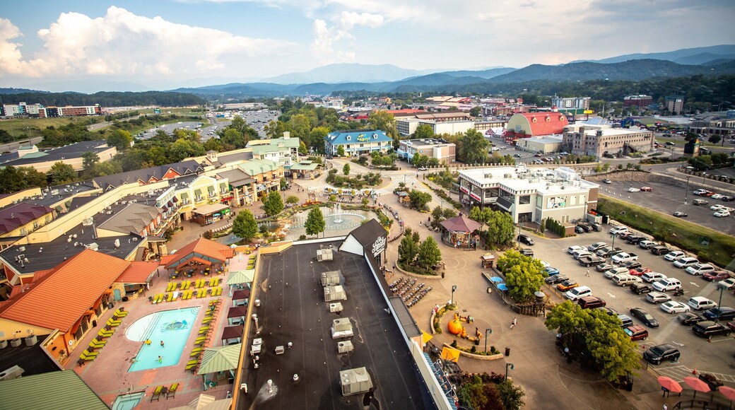 Great Smoky Mountain Wheel