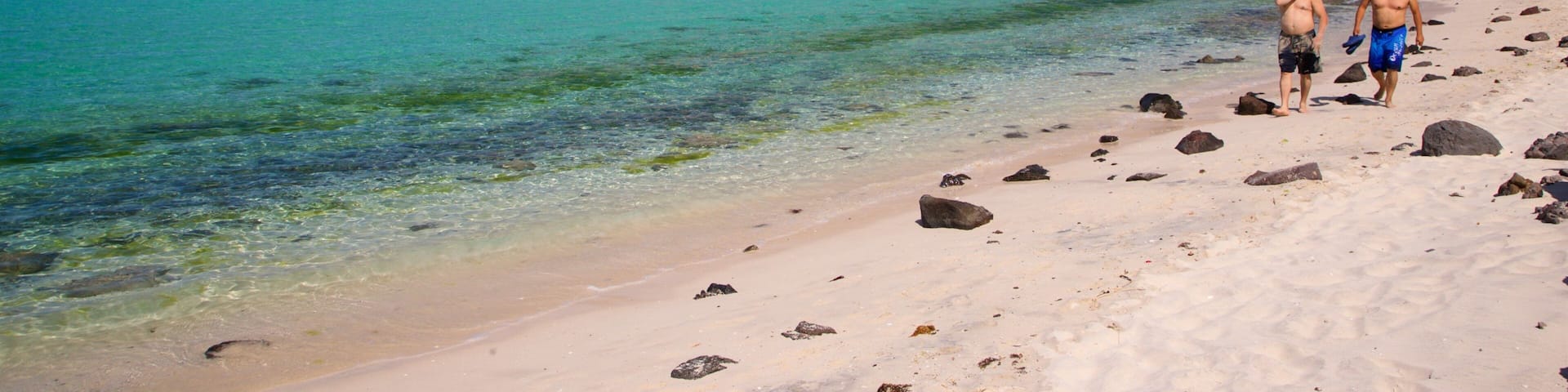 A beach with clear turquoise water, rocky shore, and a mountainous backdrop.
