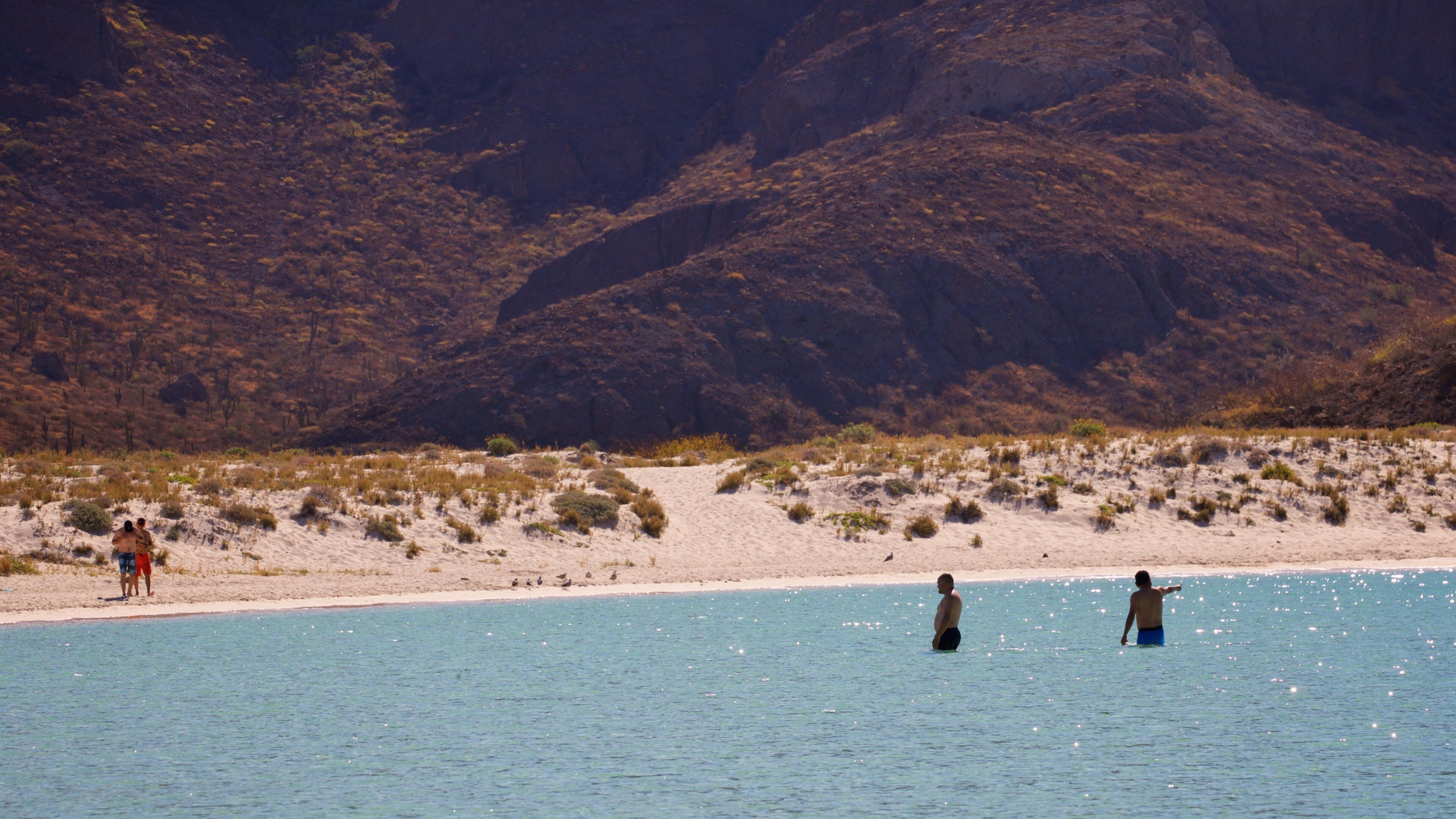 Balandra Beach showing swimming, a sandy beach and general coastal views