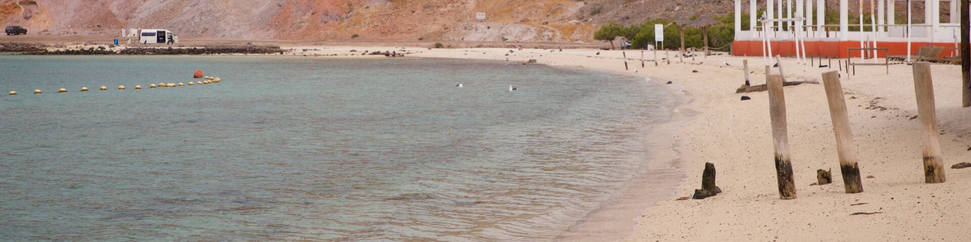 Pichilingue Beach featuring a beach and general coastal views
