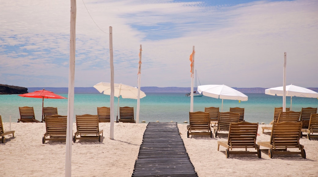 Pichilingue Beach featuring a sandy beach and general coastal views