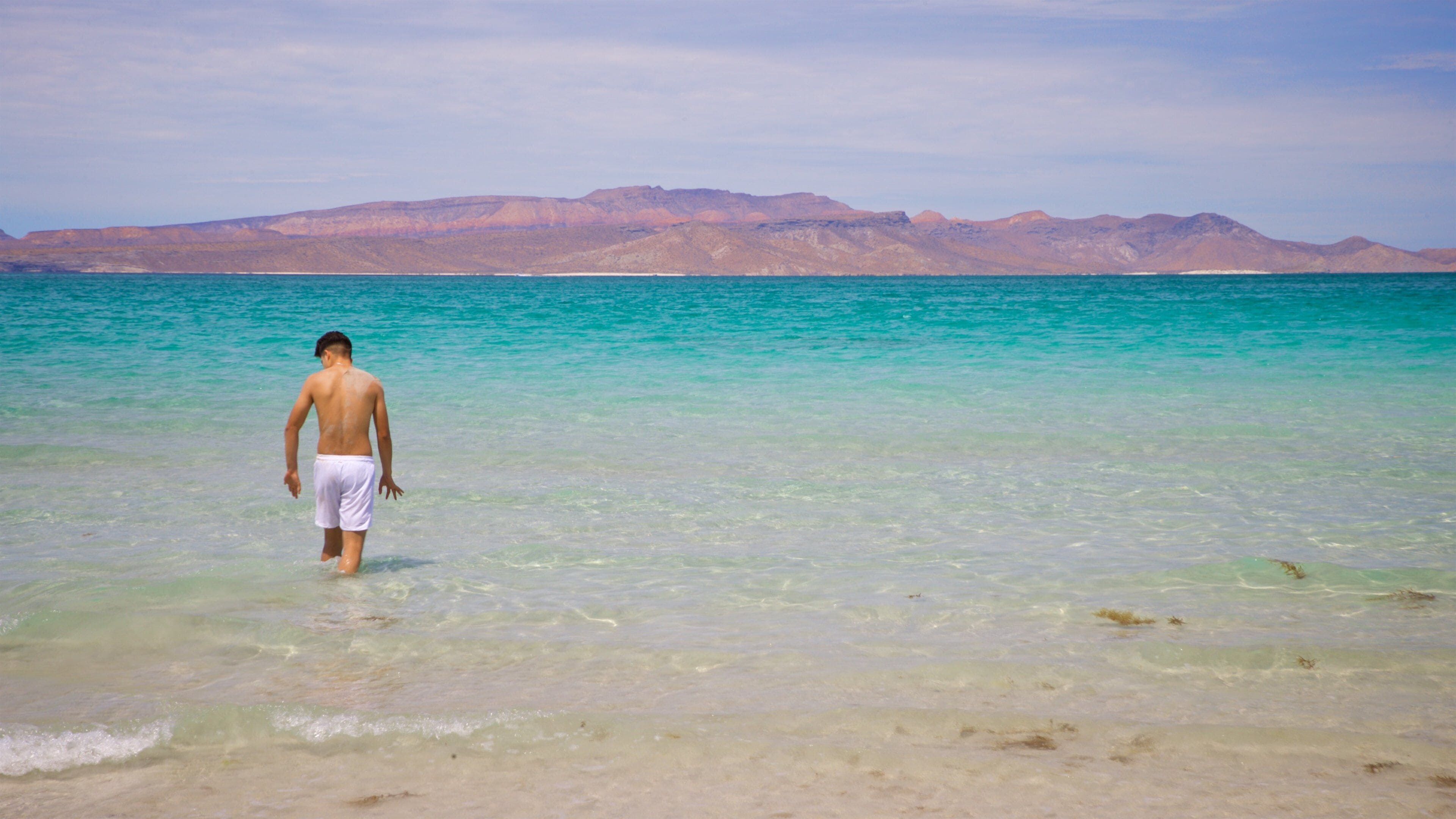 El Tecolote Beach featuring general coastal views as well as an individual male