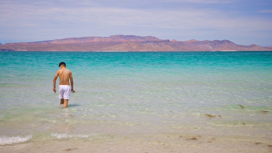 El Tecolote Beach featuring general coastal views as well as an individual male