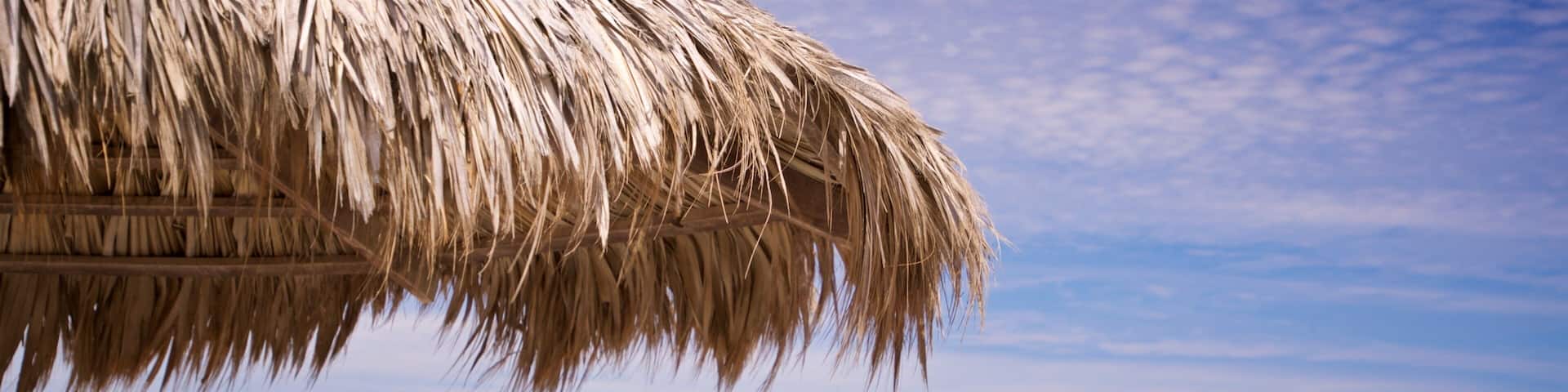 El Tecolote Beach showing tropical scenes, general coastal views and a sandy beach