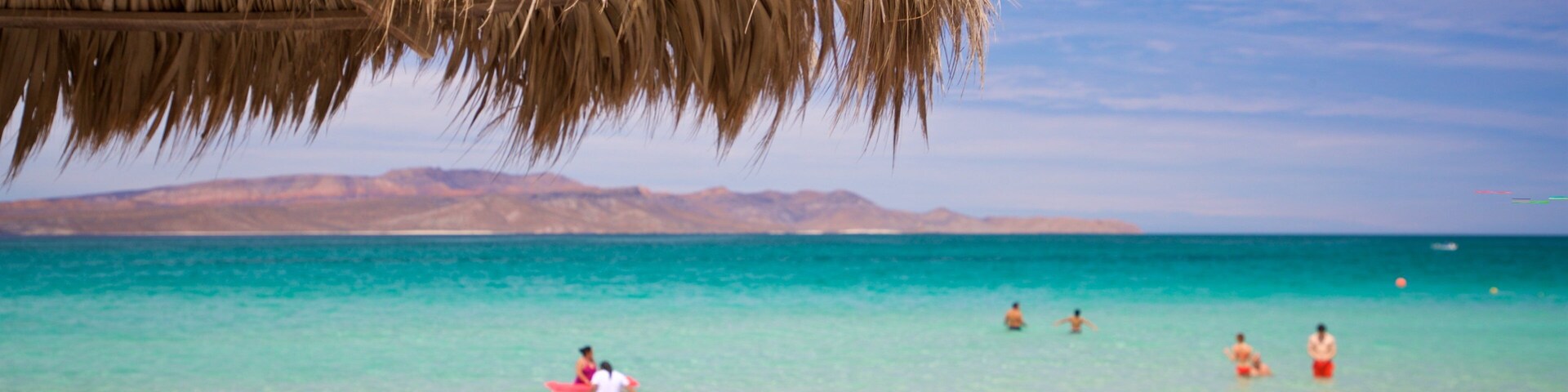 El Tecolote Beach showing tropical scenes, general coastal views and a sandy beach