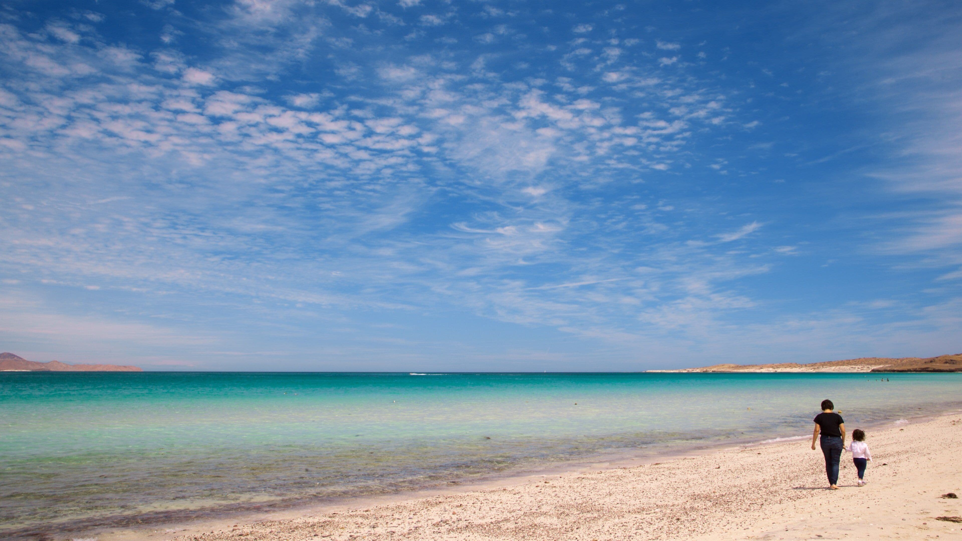 El Tecolote Beach showing tropical scenes and general coastal views as well as a family