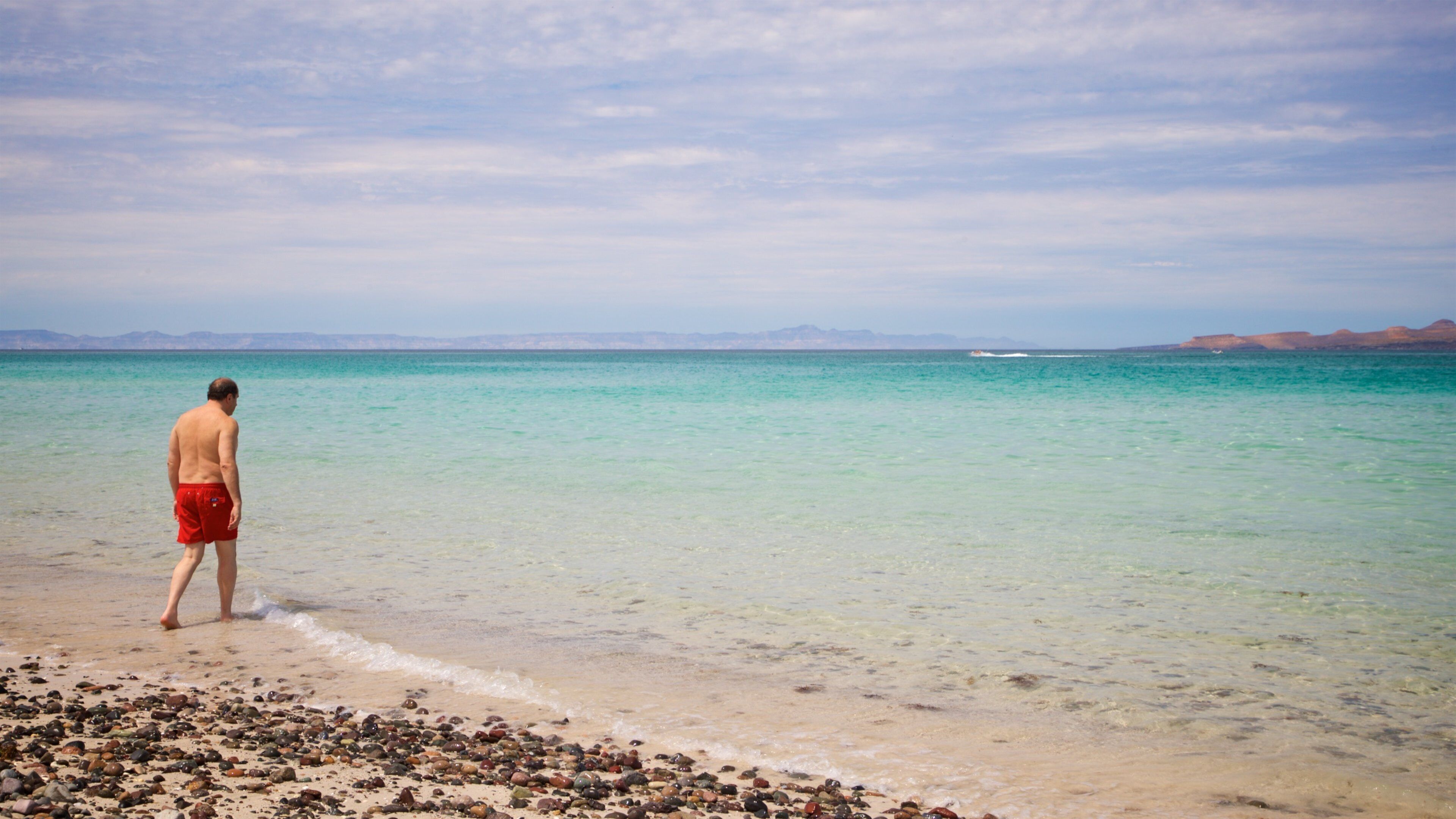 El Tecolote Beach which includes general coastal views and a sandy beach as well as an individual male