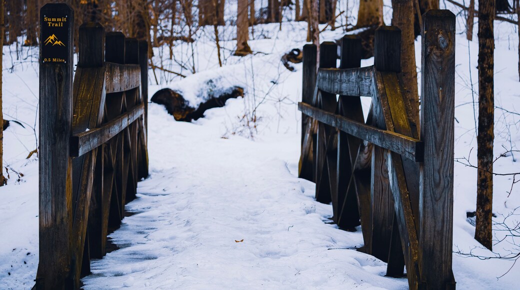 Chesterland, Ohio, USA - 2-21-22: A small bridge in the Bessie Benner Metzenbaum Park