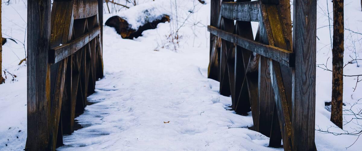A wooden bridge over a snow-covered path in a forest.