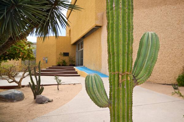 Anthropology and History Museum of Baja California Sur featuring a garden
