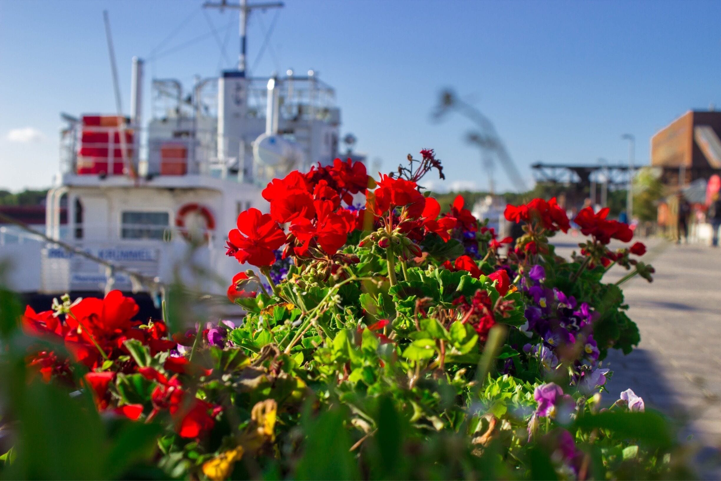 On this day we went to the harbor in a small town called Peenemünde. It was a warm and lovely day and I’m looking forward to get back there ⚓️