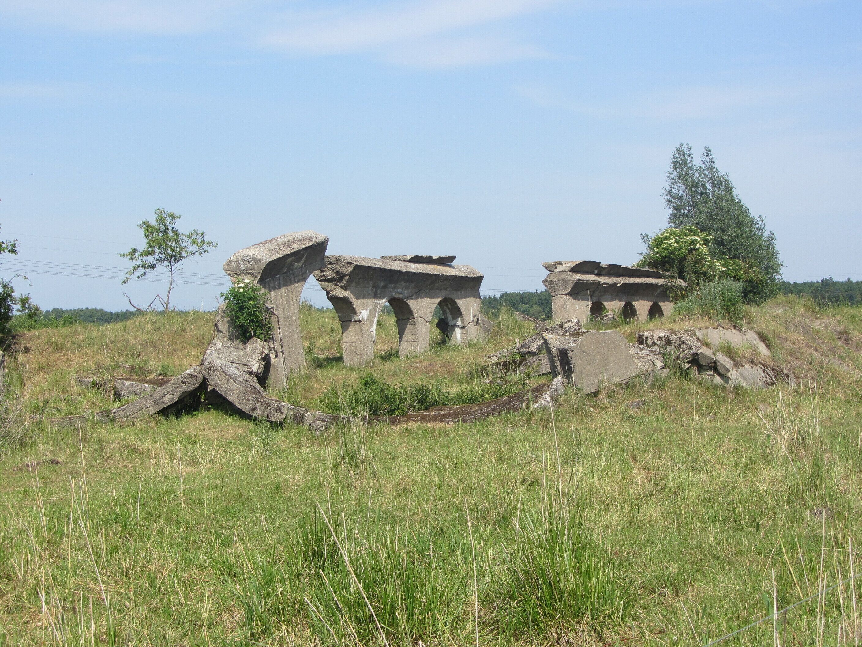 Ruins of bunkers of the Heeresversuchsanstalt Peenemünde in the Peene maedows near Peenemünde, district Vorpommern-Greifswald, Mecklenburg-Vorpommern, Germany