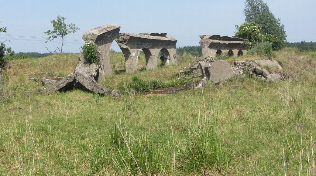 Ruins of bunkers of the Heeresversuchsanstalt Peenemünde in the Peene maedows near Peenemünde, district Vorpommern-Greifswald, Mecklenburg-Vorpommern, Germany
