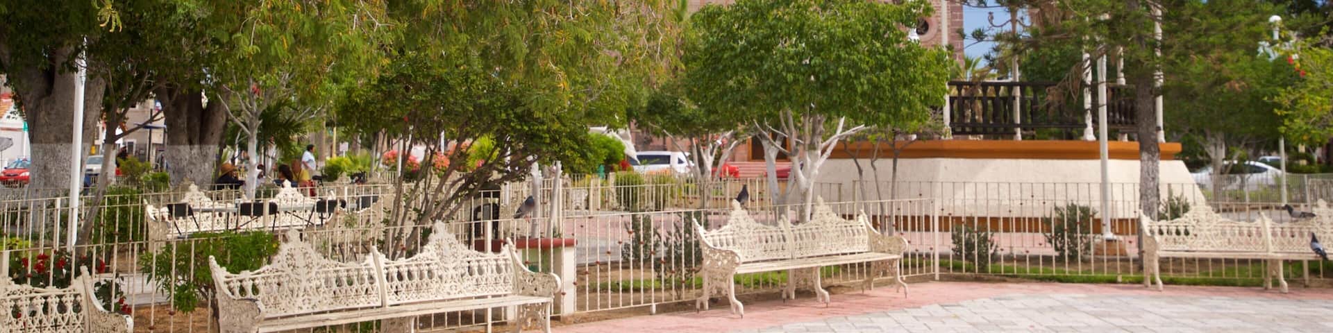 Constitution Square showing a park