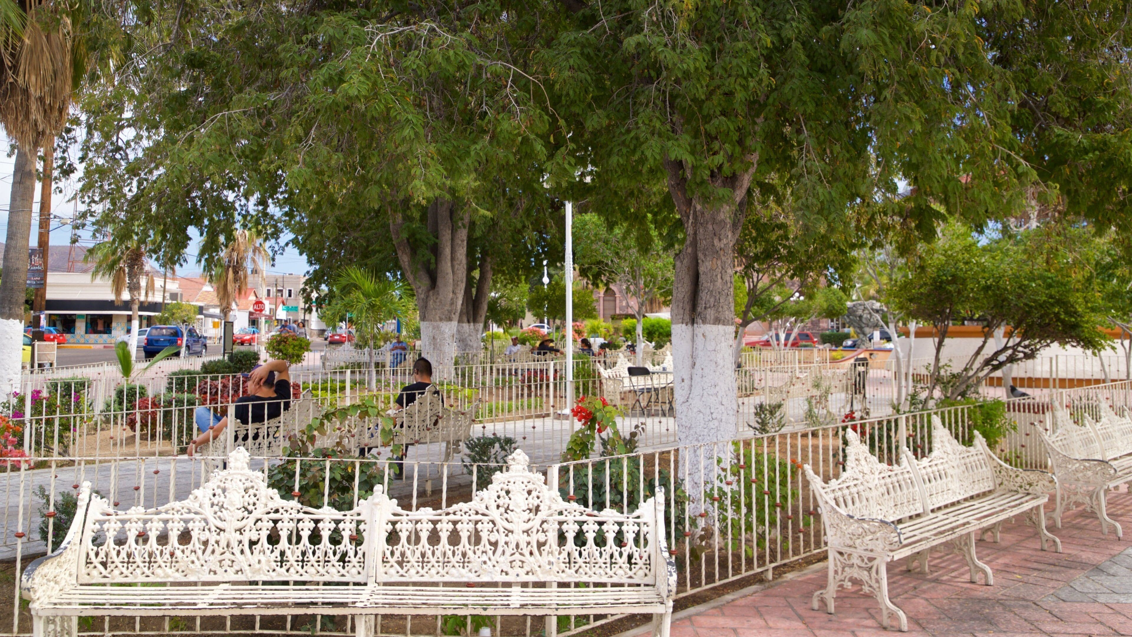 Constitution Square featuring a garden