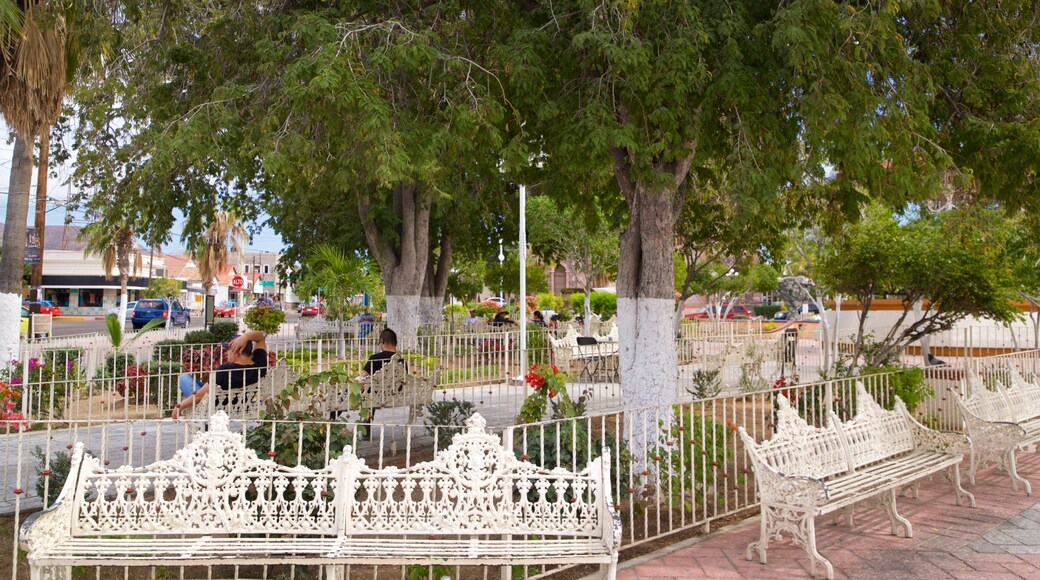 Constitution Square featuring a garden