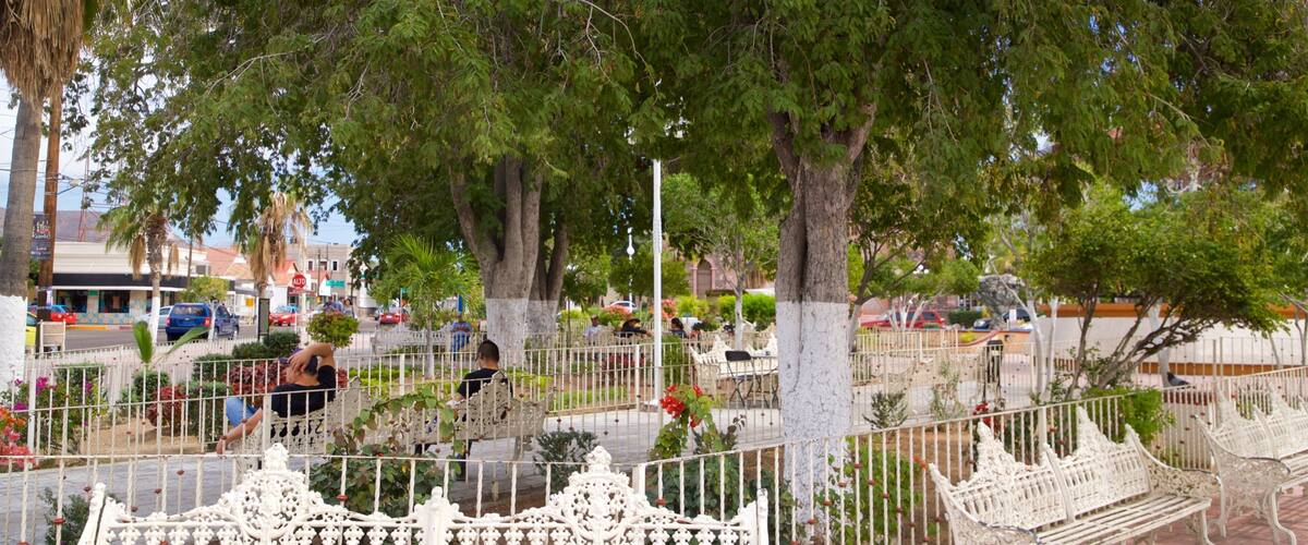 Constitution Square featuring a garden