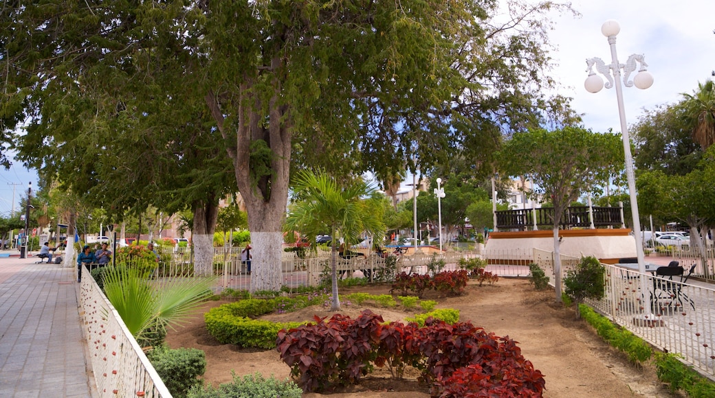 Constitution Square featuring a garden