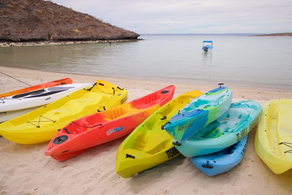 A row of colorful kayaks lined up on a sandy beach with calm water and a distant shoreline.