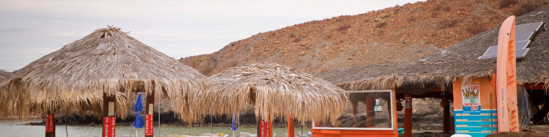 Tesoro Beach which includes a sandy beach, tropical scenes and general coastal views
