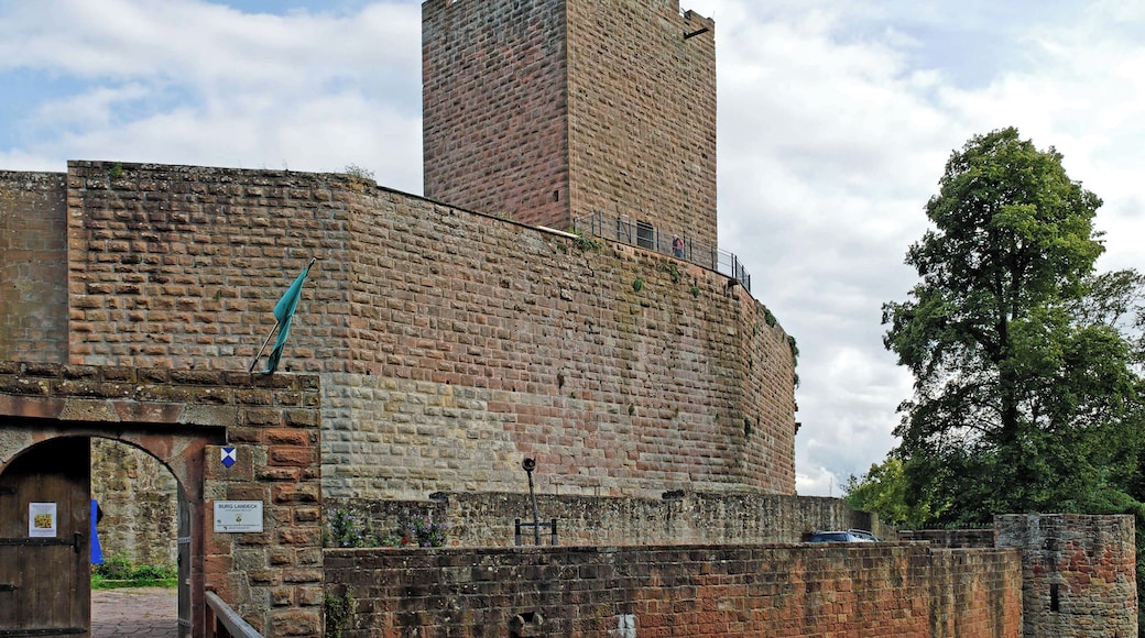 Burg Landeck / Südpfalz