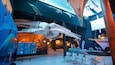 Whale Museum featuring interior views
